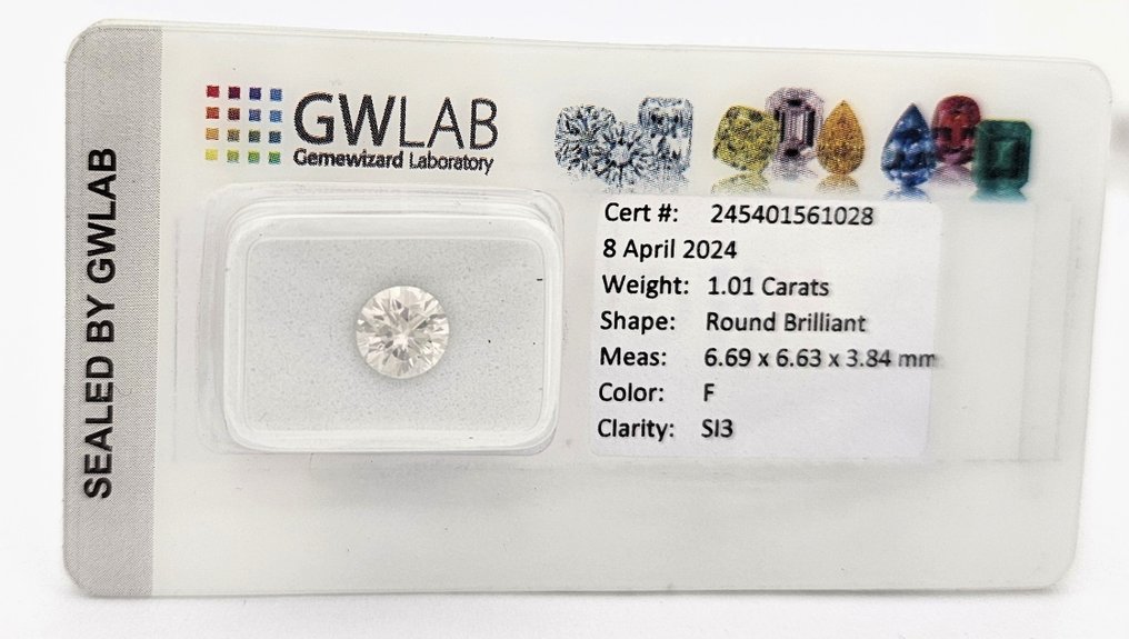 1 pcs Diamant  (Natur)  - 1.01 ct - Rund - F - SI3 - Gemewizard Gemological Laboratory (GWLab) #1.1