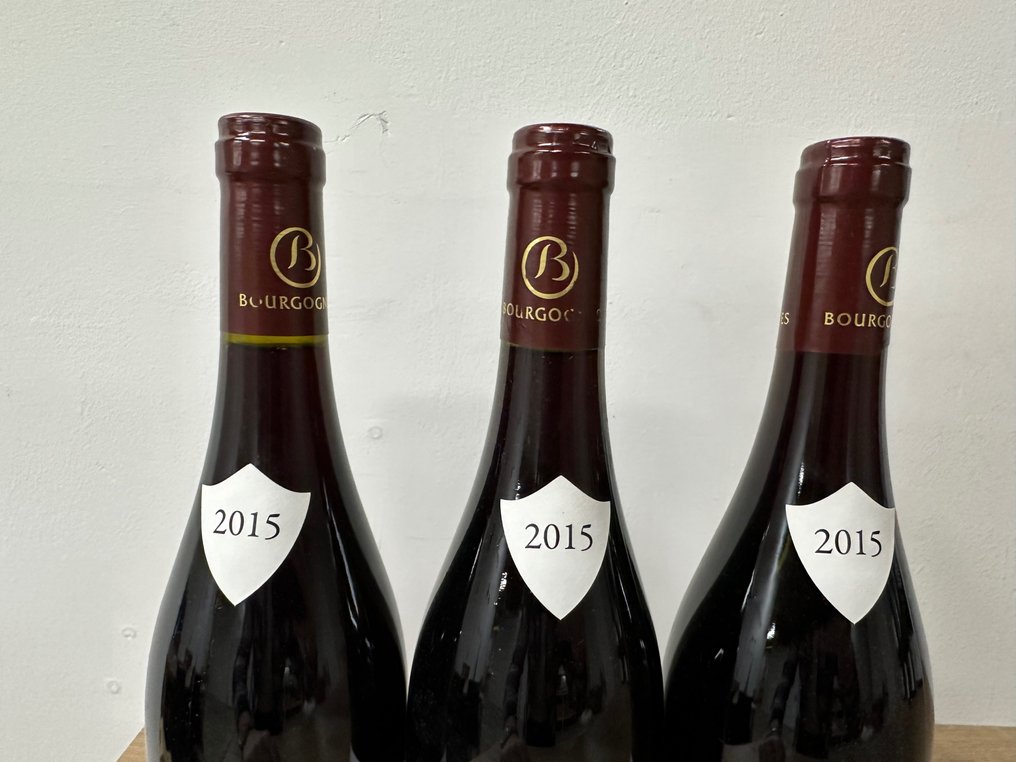 2015 Domaine des Poulettes, Les Vaucrains - Nuits St. Georges 1er Cru - 3 Bottles (0.75L) #1.3