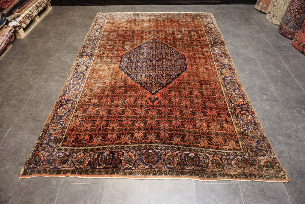 比贾尔 伊朗 - 地毯 - 298 cm - 198 cm #2.1