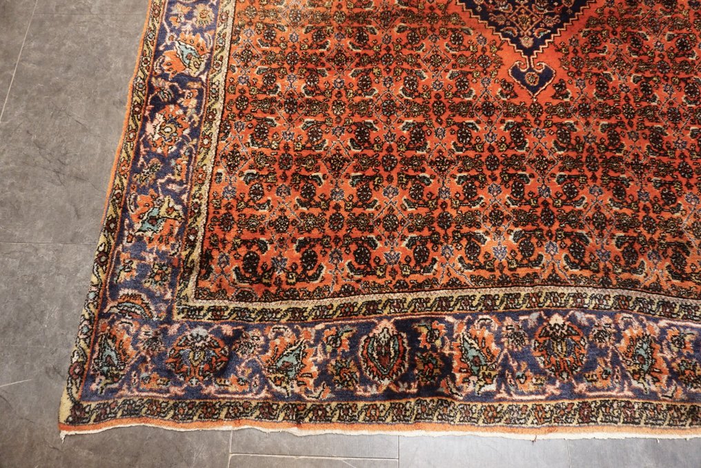 比贾尔 伊朗 - 地毯 - 298 cm - 198 cm #2.2