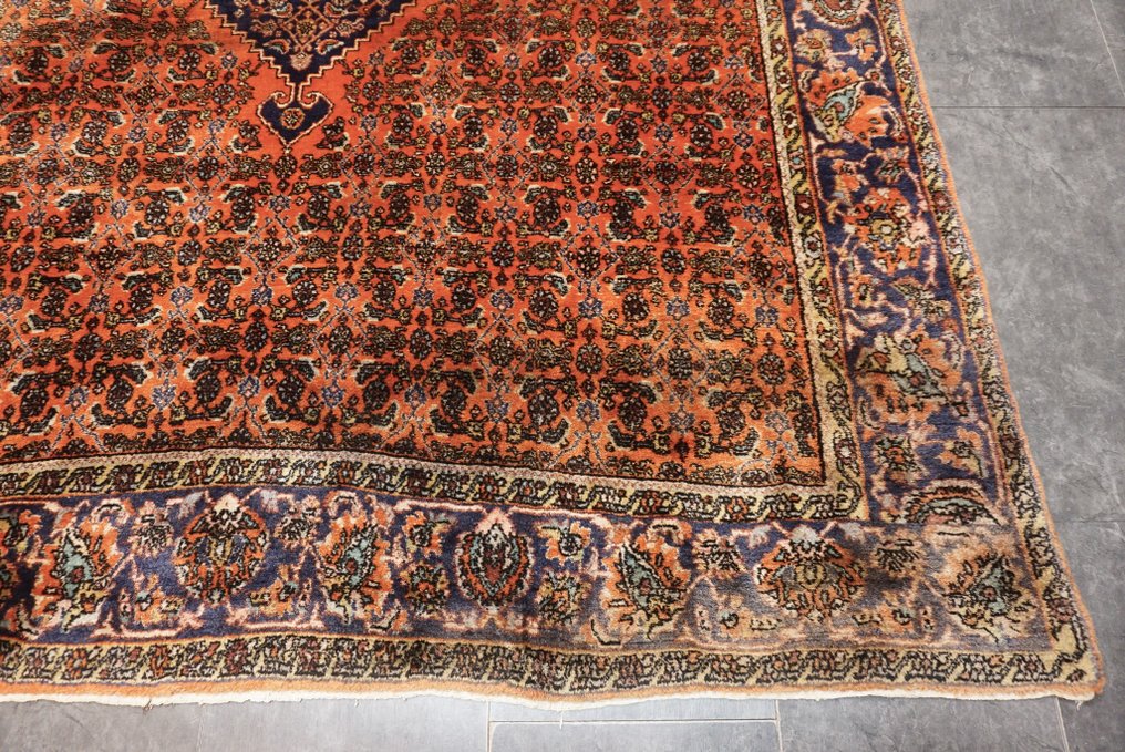 比贾尔 伊朗 - 地毯 - 298 cm - 198 cm #3.1