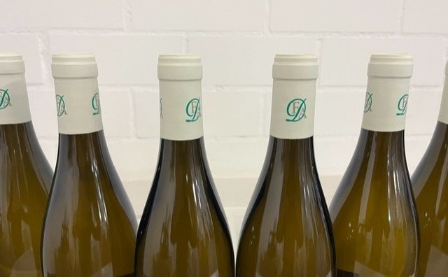 2020 Domaine Francoise André "Les Vergelesses" - Savigny lès Beaune 1er Cru - 6 Bottles (0.75L) #2.1