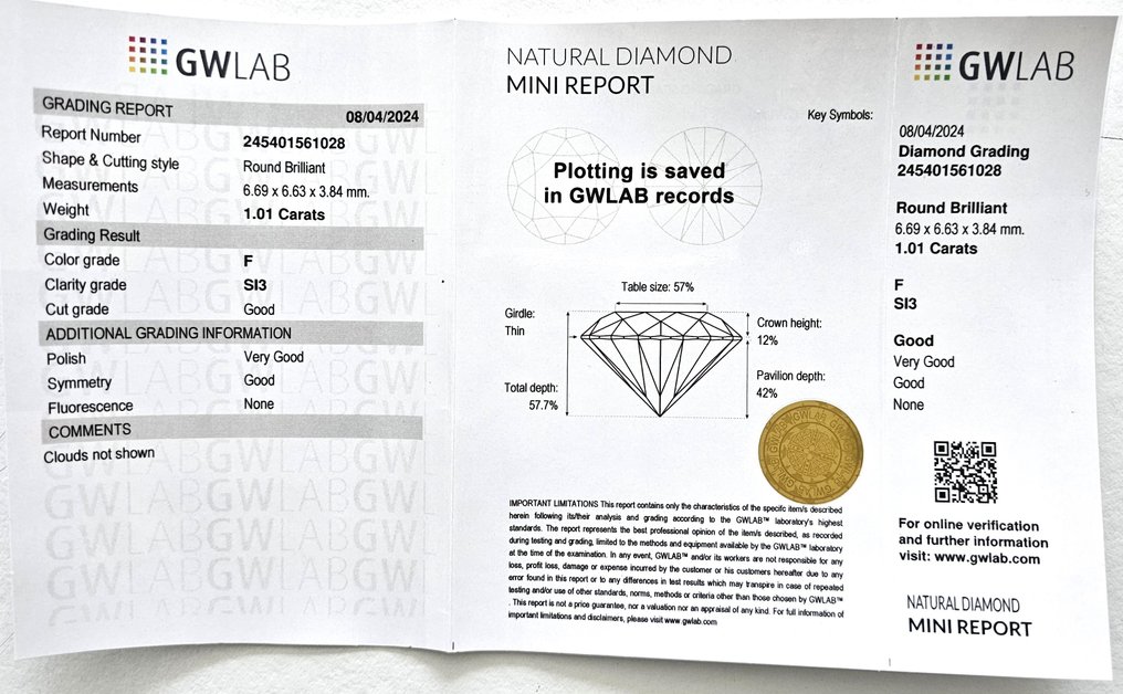 1 pcs Diamant  (Natur)  - 1.01 ct - Rund - F - SI3 - Gemewizard Gemological Laboratory (GWLab) #2.1