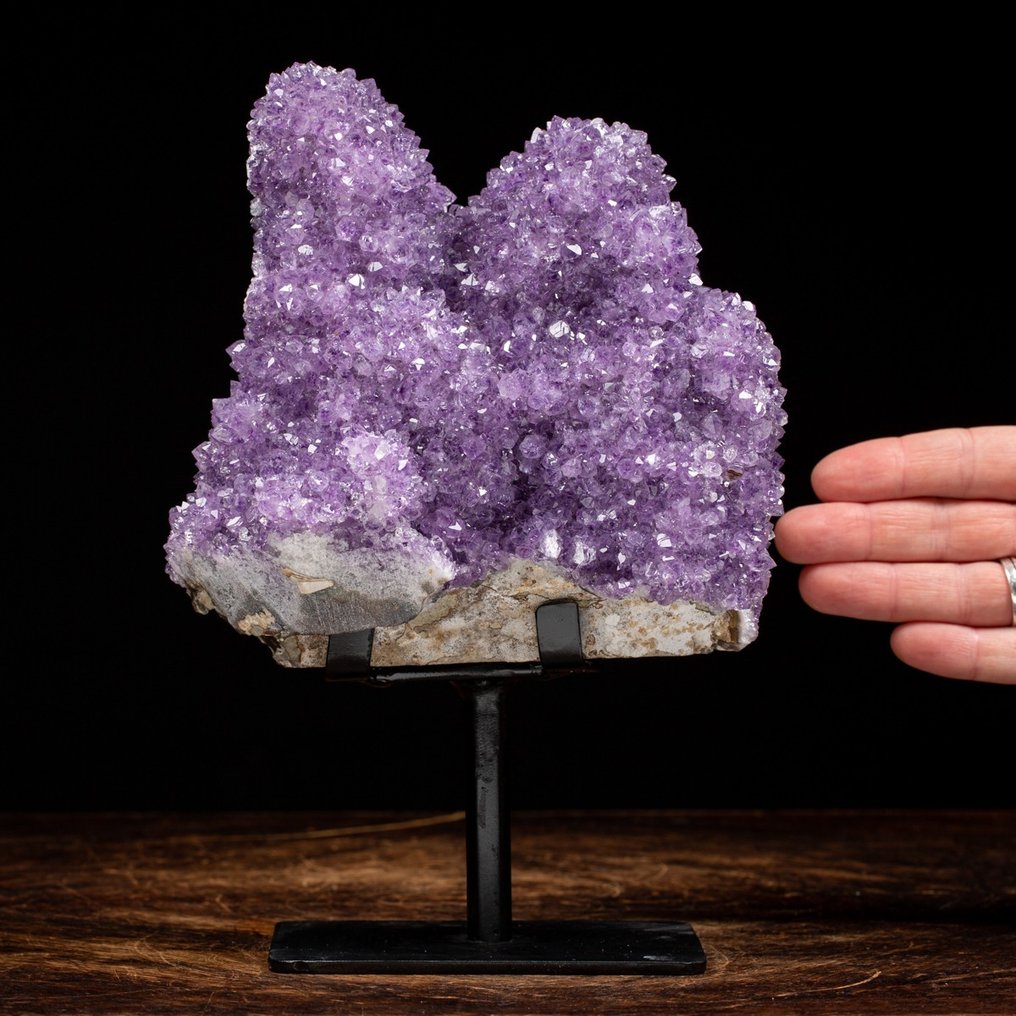 高品質紫水晶 Druzy - 深紫色 - 非凡水晶 - 高度: 176 mm - 闊度: 129 mm- 1774 g #1.1