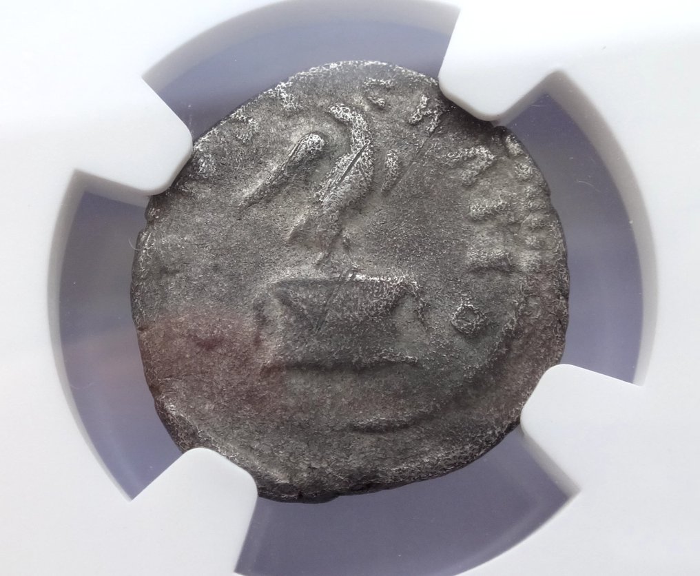 羅馬帝國. A unique NGC "VF " Lucilla, AD 164-182/3 ROMAN EMPIRE Rev: Consecratio. Denarius #2.2