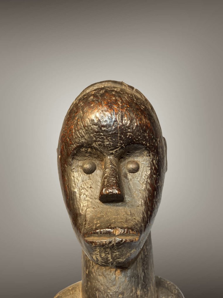 Statuetka - Kieł - 66 cm - Gabon #2.1