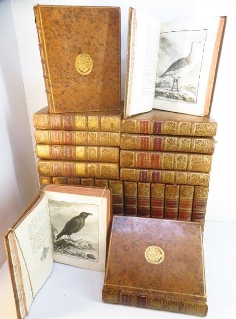 George Louis Leclerc de Buffon / Jacques de Sève - Histoire naturelle : Quadrupèdes & oiseaux [812 planches] - 1749-1783 #1.1