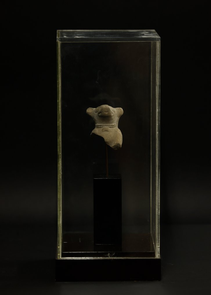 Präkolumbianisch Präkolumbianische Skulptur mit spanischer Exportlizenz. Ständer und Urne inklusive. - 7 cm #1.2