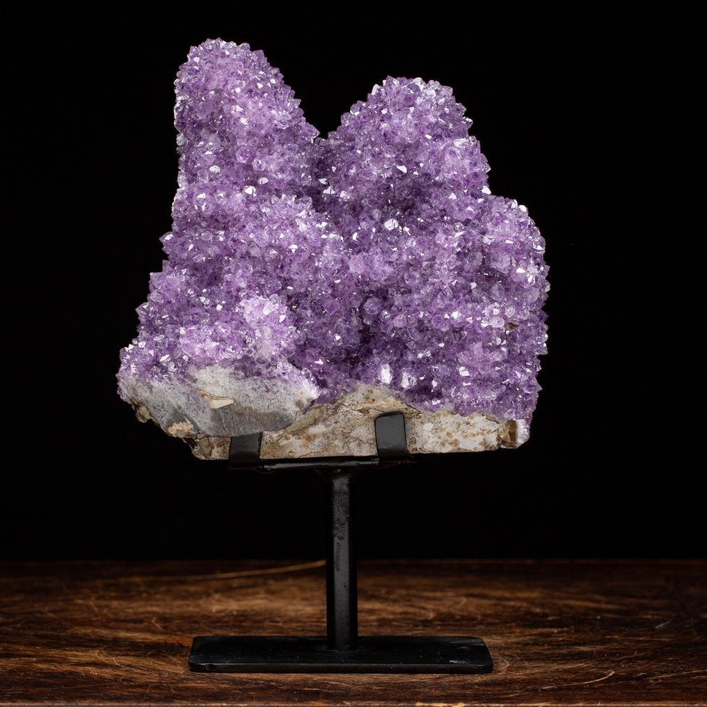Hochwertiger Amethyst-Druse – tiefviolette Farbe – außergewöhnliche Kristalle - Höhe: 176 mm - Breite: 129 mm- 1774 g #1.2