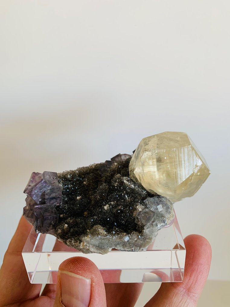 水晶矩晶体 - 高度: 9 cm - 宽度: 6 cm- 225 g #1.1