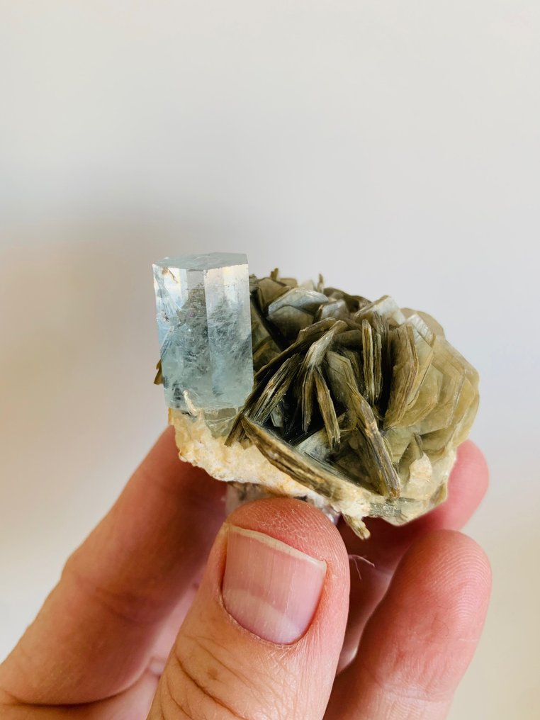 海蓝宝石 水晶矩晶体 - 高度: 5 cm - 宽度: 5 cm- 70 g #1.2