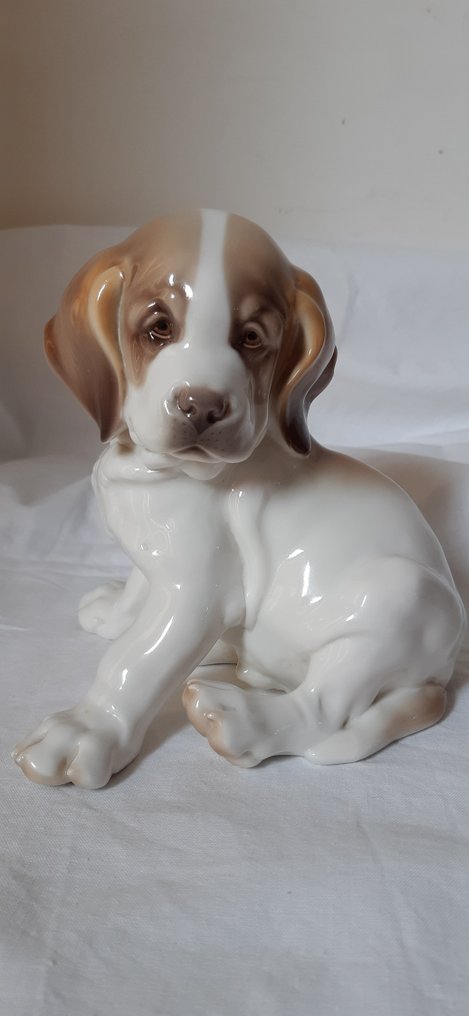 Nymphenburg München - RB, Robert Bock - Estatueta - Saint Bernard puppy - Porcelana #1.1
