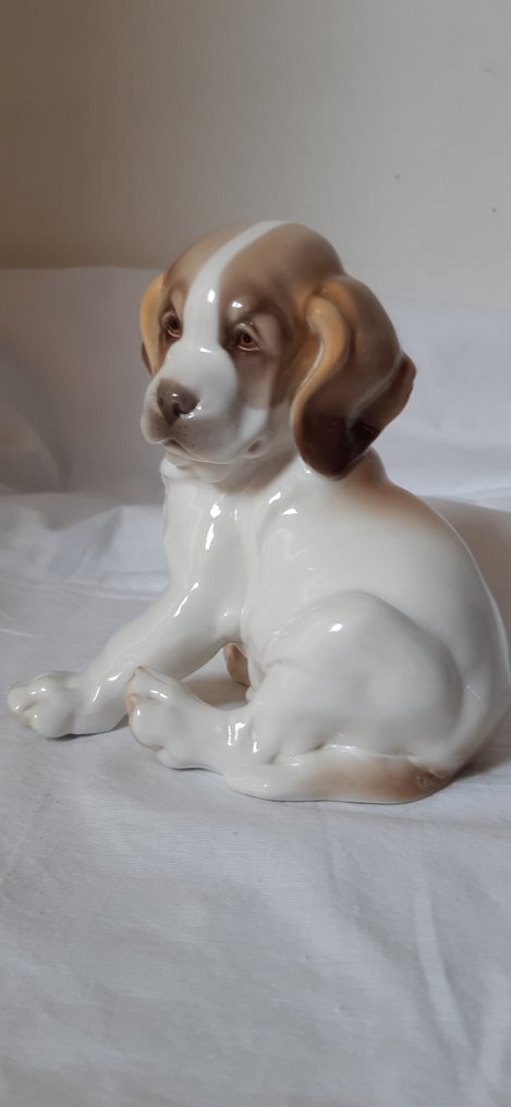 Nymphenburg München - RB, Robert Bock - Estatueta - Saint Bernard puppy - Porcelana #1.2