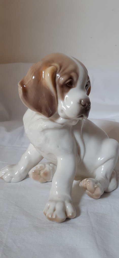 Nymphenburg München - RB, Robert Bock - Estatueta - Saint Bernard puppy - Porcelana #2.1