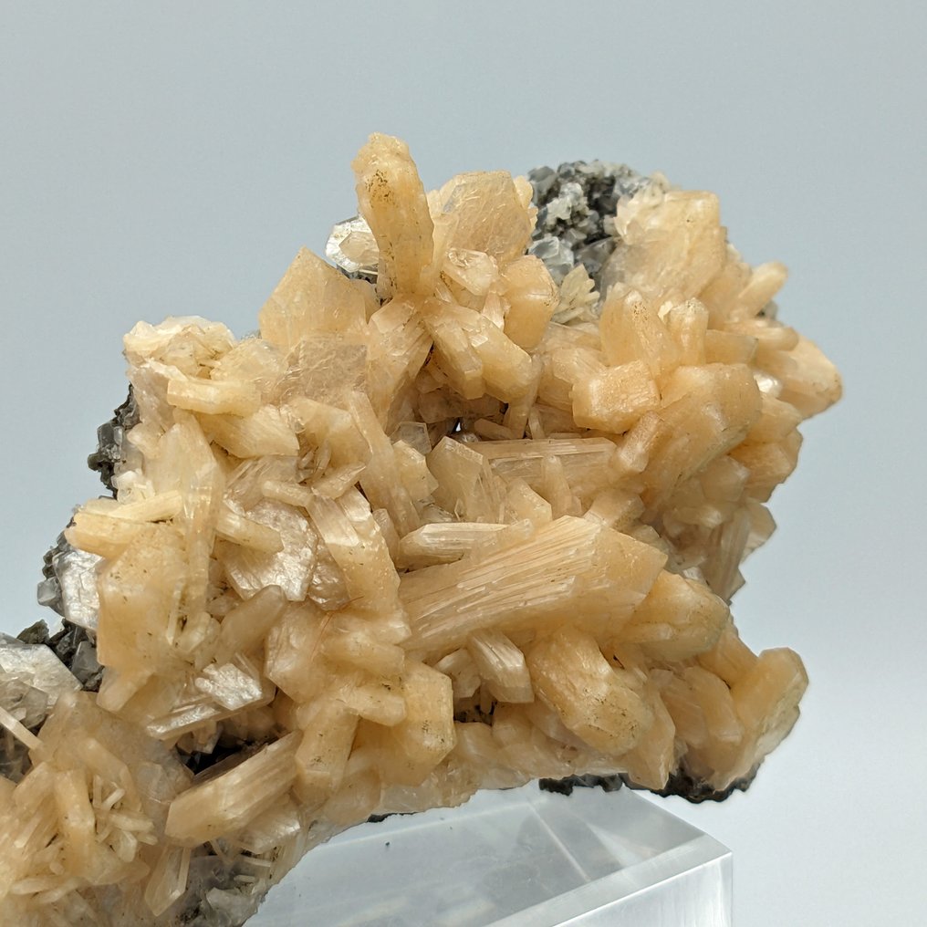 ROZE STILBITE-bloemblaadjes, met elkaar verweven kristallen, TOP Kristallen op matrix - Hoogte: 149 mm - Breedte: 96 mm- 285.48 g - (1) #2.1
