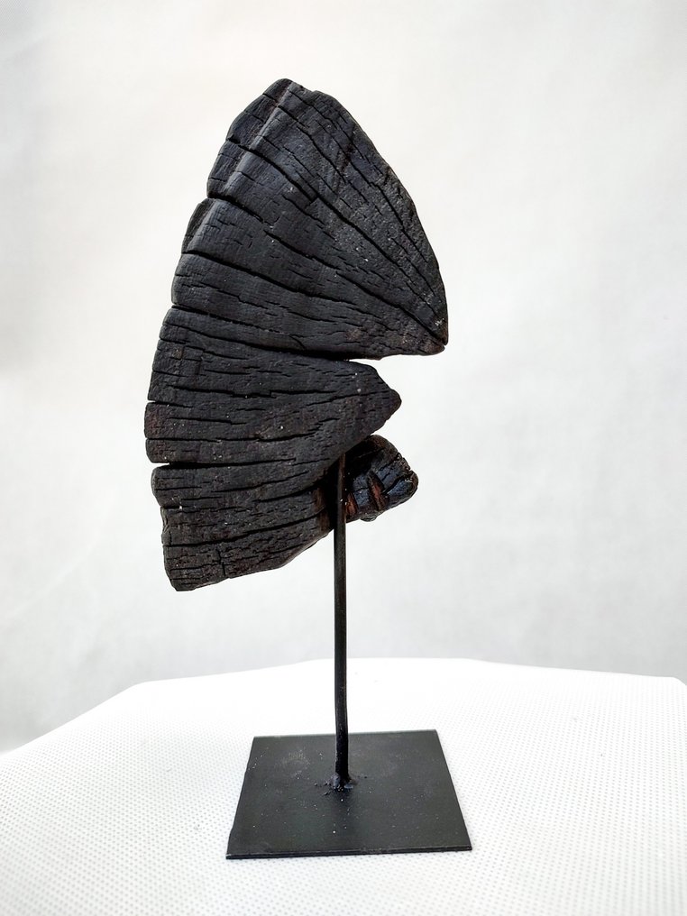 THE FOREST Art & Woodworking Studio - M. Paszko - Skulptur, Koala Ascent - 22 cm - Trä - 2024 #1.1