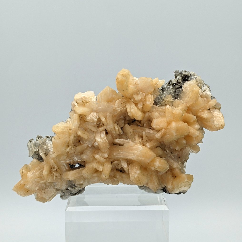 ROZE STILBITE-bloemblaadjes, met elkaar verweven kristallen, TOP Kristallen op matrix - Hoogte: 149 mm - Breedte: 96 mm- 285.48 g - (1) #1.1