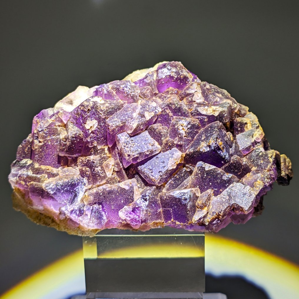 PURPURIA FLUORIITIN kuutiot, todella intensiivinen väri Kristallit välimassassa - Korkeus: 96 mm - Leveys: 58 mm- 293.07 g - (1) #1.1