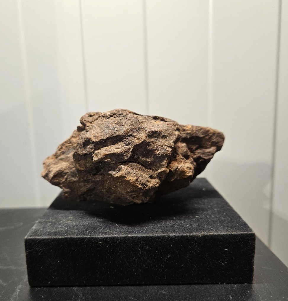 Al Haggounia 001-Meteorit Chondrit Meteorit - Höhe: 50 mm - Breite: 100 mm - 188.95 g - (1) #2.1