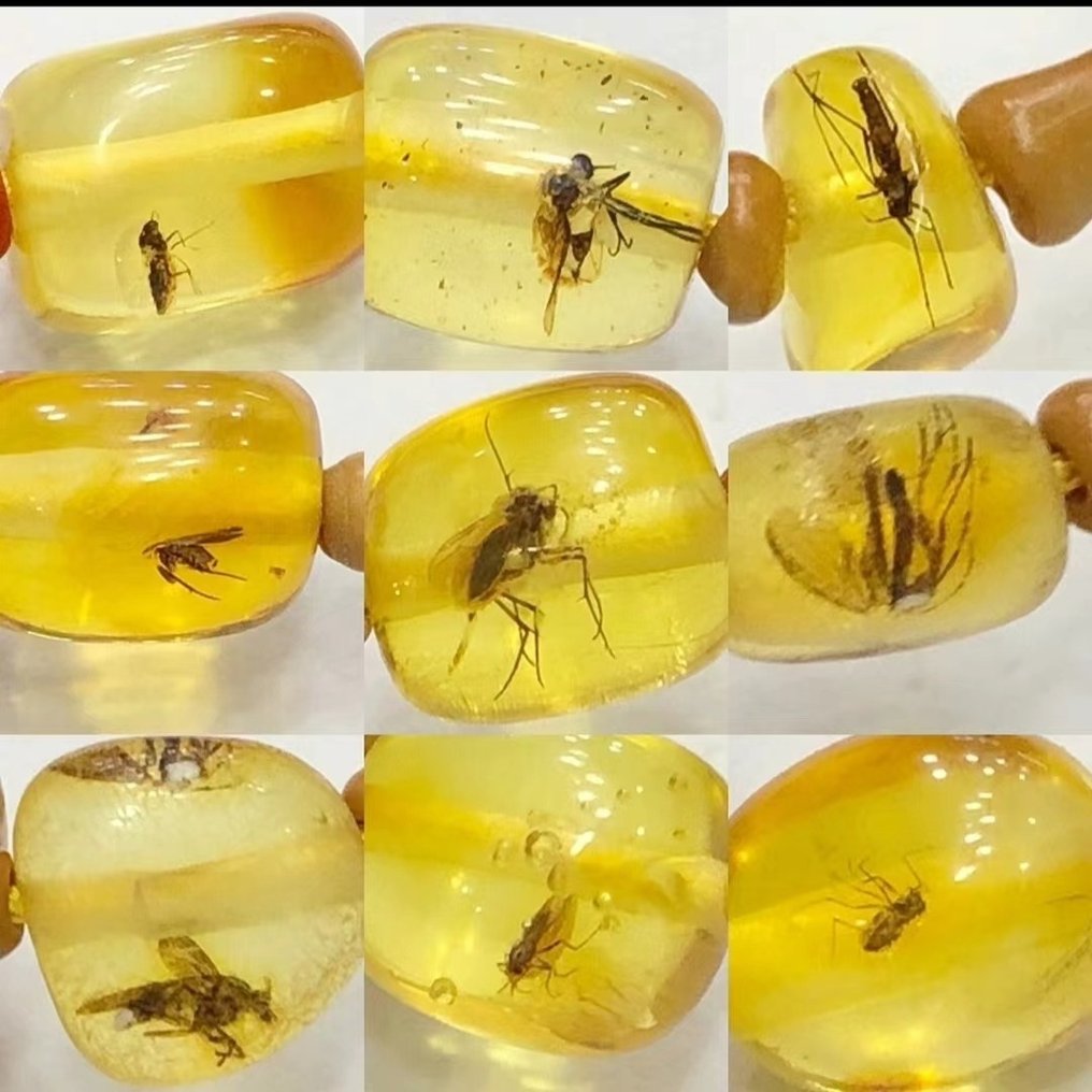 琥珀 - Natural insect amber necklace #1.3
