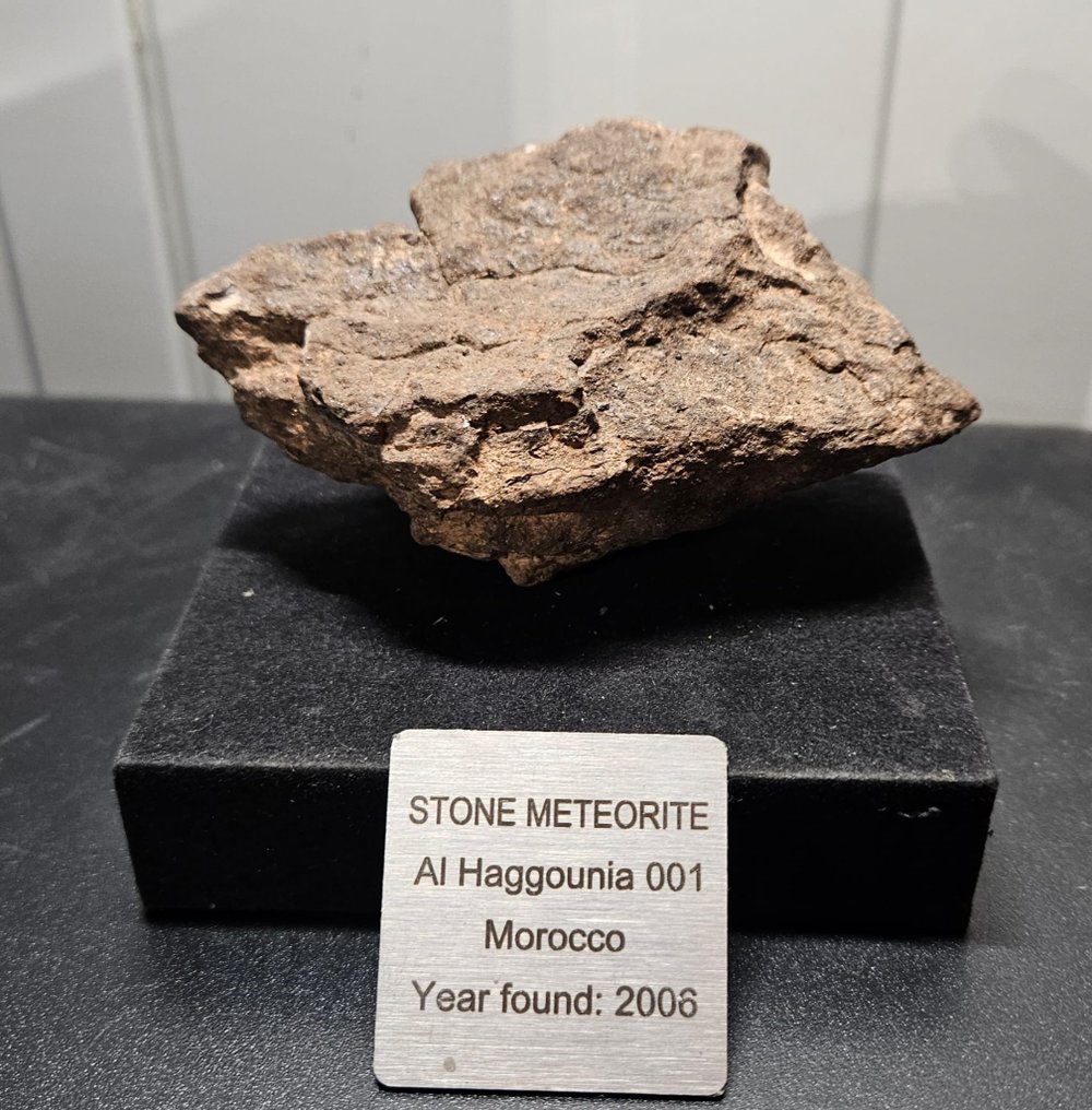 Al Haggounia 001-Meteorit Chondrit Meteorit - Höhe: 50 mm - Breite: 100 mm - 188.95 g - (1) #1.1