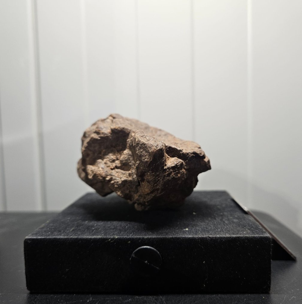 Al Haggounia 001-Meteorit Chondrit Meteorit - Höhe: 50 mm - Breite: 100 mm - 188.95 g - (1) #1.2