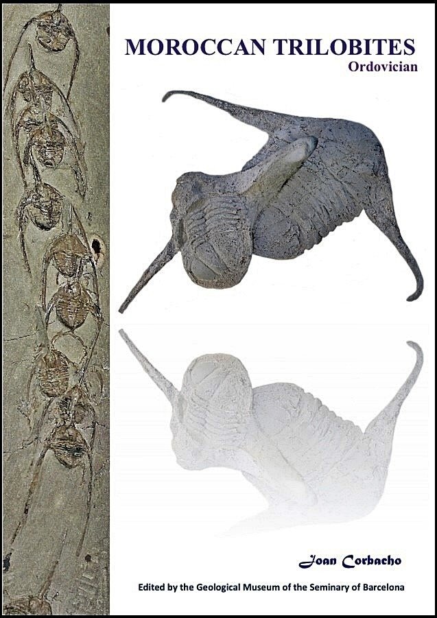 書中的摩洛哥三葉蟲圖 - 動物化石 - Cyclopyge sp + Octillaenus sp. + cefalon de  Symphysops stevaninae  (沒有保留價) #2.1