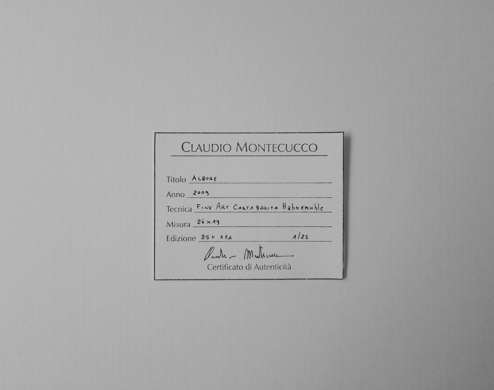 Claudio Montecucco - Albore #3.2