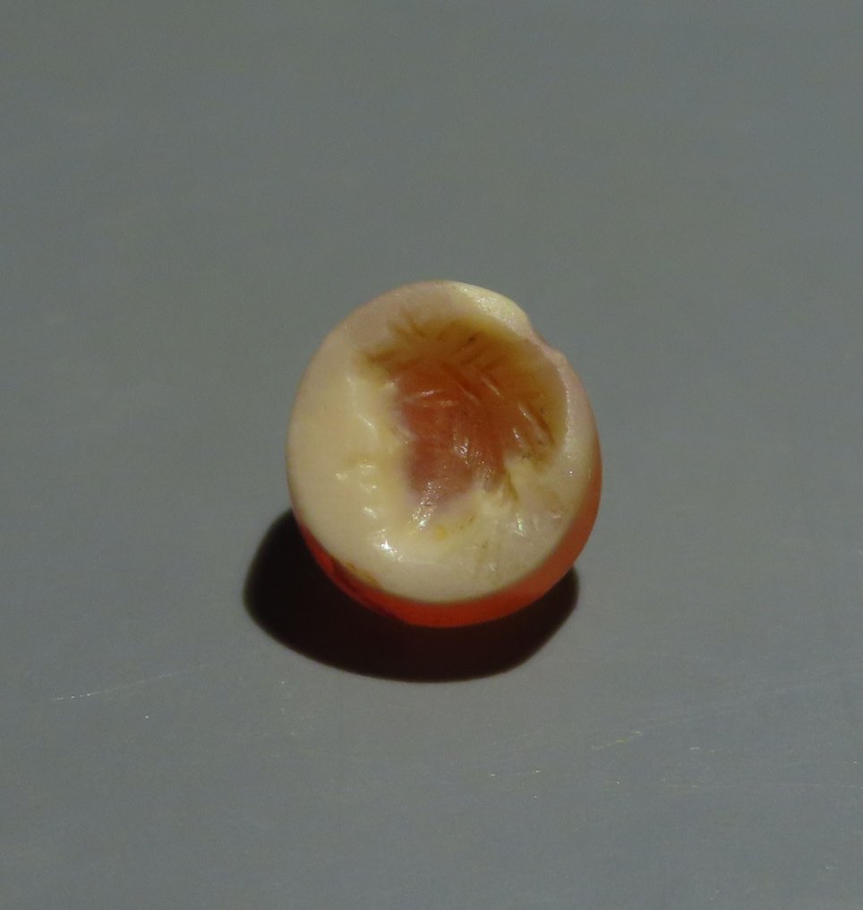 Ancient Roman Carnelian Entail with a head. 1st century BC-1st century AD. 0.9 cm H. #1.2