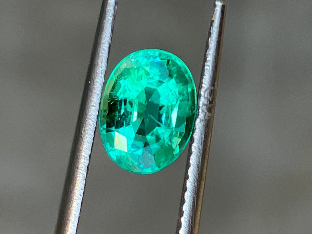 1 pcs  Verde Smarald  - 1.27 ct - GIA #3.2