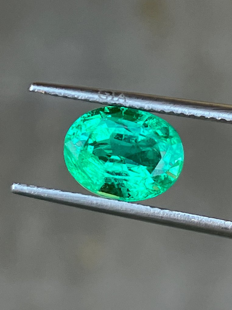 1 pcs Green Emerald, GIA ZAMBIA - 2.59 ct #3.1