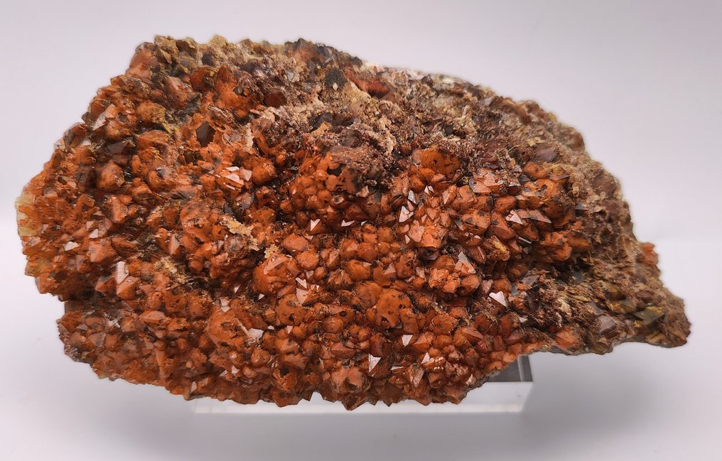 Hematoid och rökkvarts Sidi Ayad sektor, Aouli, Midelt, Middle Atlas kristall på matrisen - Höjd: 17.5 cm - Bredd: 10 cm- 1.52 kg #2.1