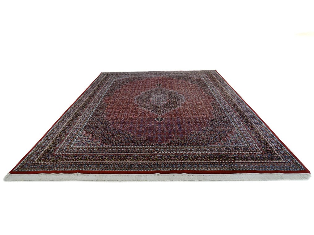 比贾尔 - 净化 - 小地毯 - 410 cm - 302 cm #2.2