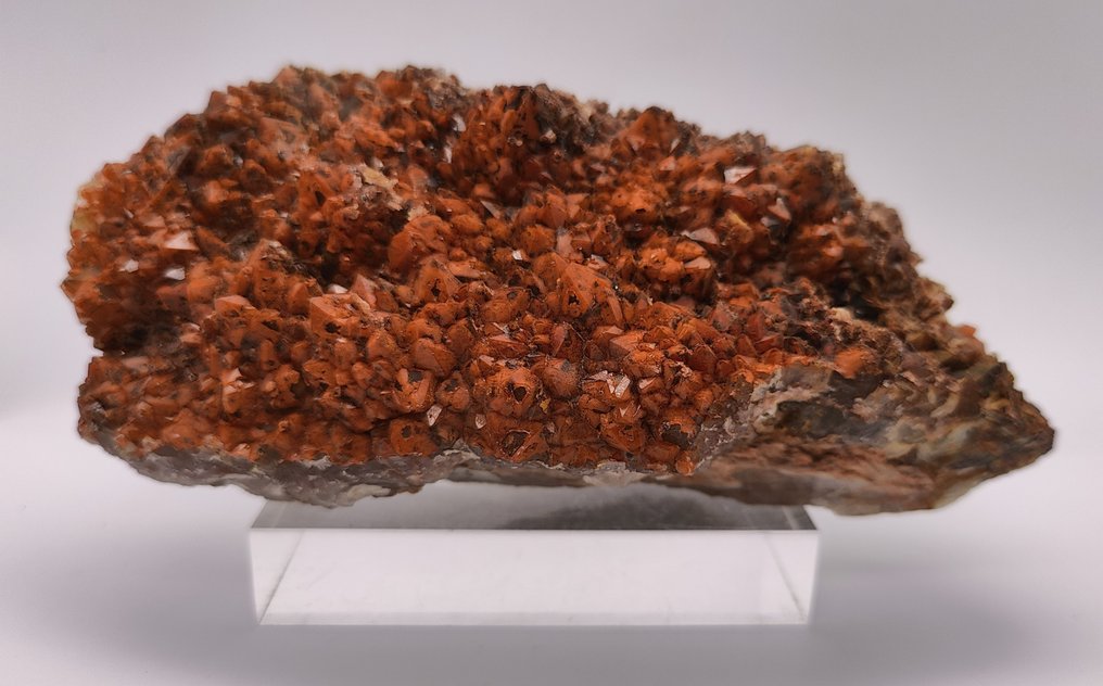 Hematoid och rökkvarts Sidi Ayad sektor, Aouli, Midelt, Middle Atlas kristall på matrisen - Höjd: 17.5 cm - Bredd: 10 cm- 1.52 kg #1.1