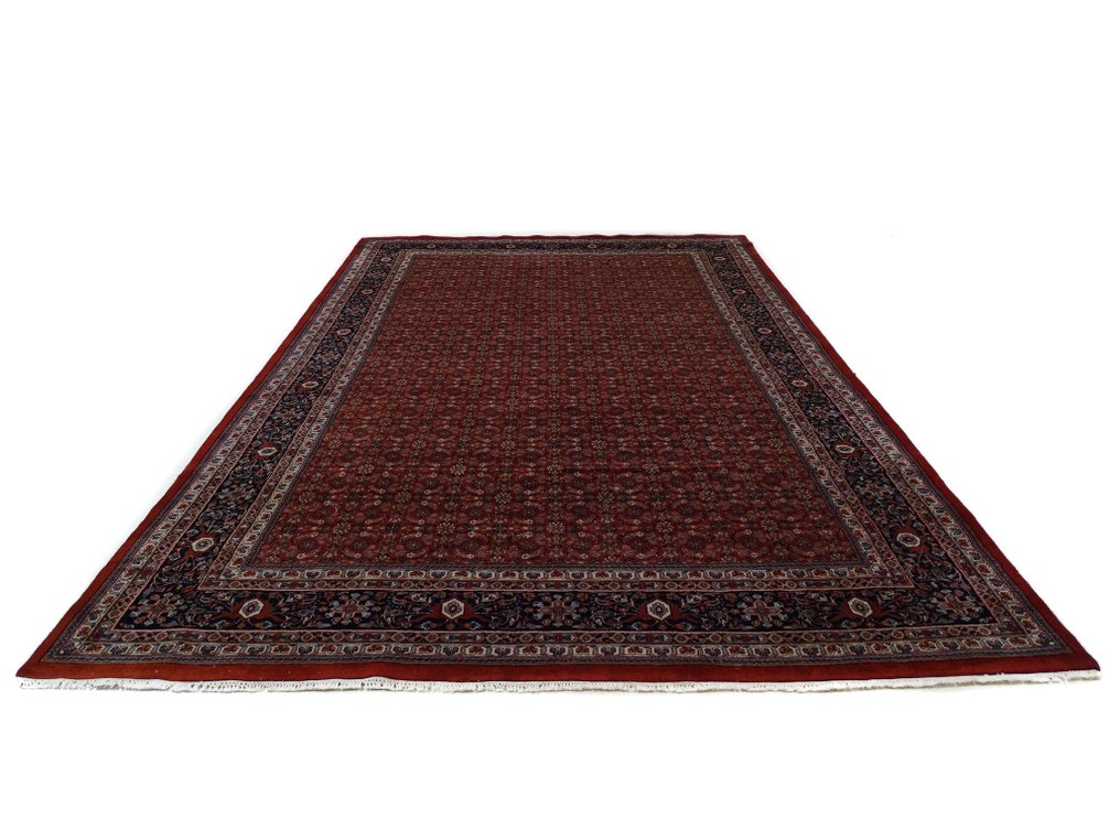 比贾尔 - 净化 - 小地毯 - 360 cm - 239 cm #2.2