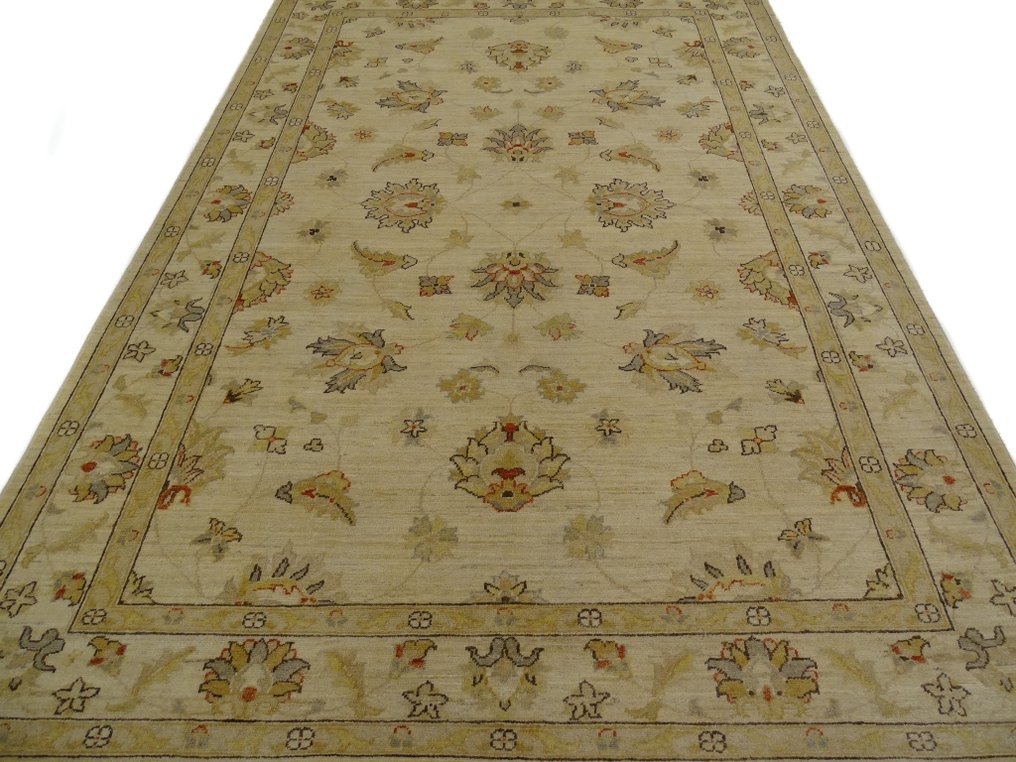 齐格勒 - 新的和未使用的 - 小地毯 - 268 cm - 181 cm #1.1