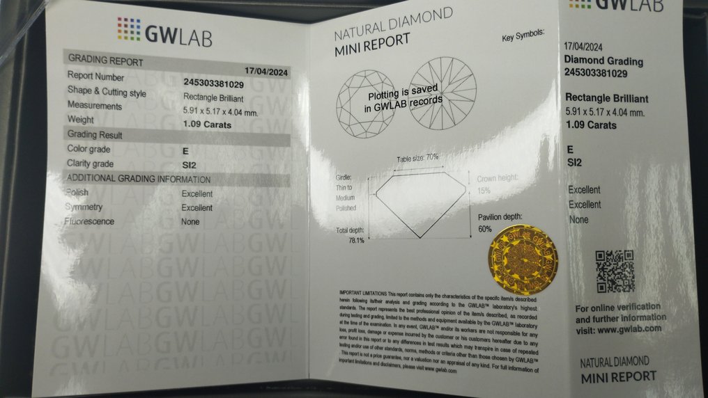 1 pcs Diamant  (Naturelle)  - 1.09 ct - E - SI2 - Gemewizard Gemological Laboratory (GWLab) #2.2