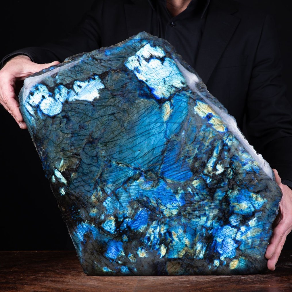 Golden Flash Top Quality Labradorite - Free Form - Gold Blue Light - - Height: 45 cm - Width: 49 cm- 40 kg #1.1