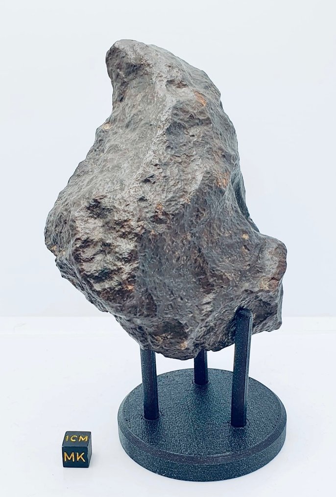 未分類的 NWA 隕石 球粒隕石 - 高度: 120 mm - 闊度: 100 mm - 680 g - (1) #1.2