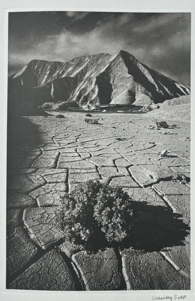 Jeanloup Sieff (1933-2000) - Vallée de la mort, Californie, 1977 #1.2