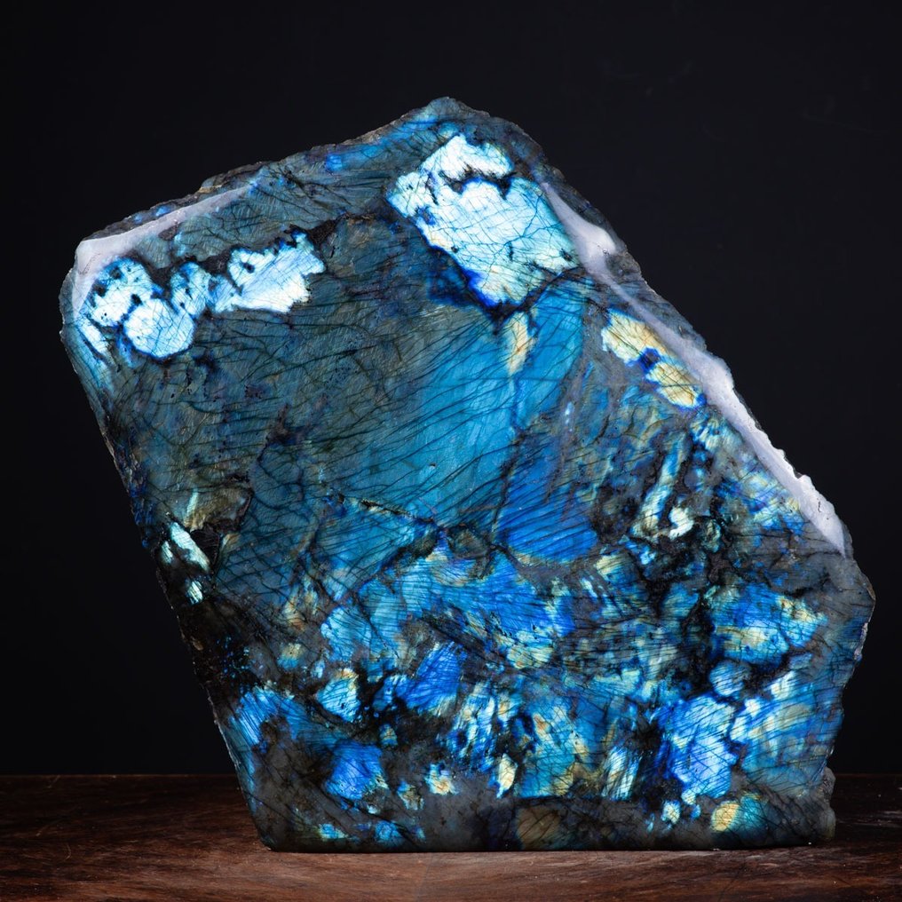 Golden Flash Top Quality Labradorite - Free Form - Gold Blue Light - - Height: 45 cm - Width: 49 cm- 40 kg #1.2