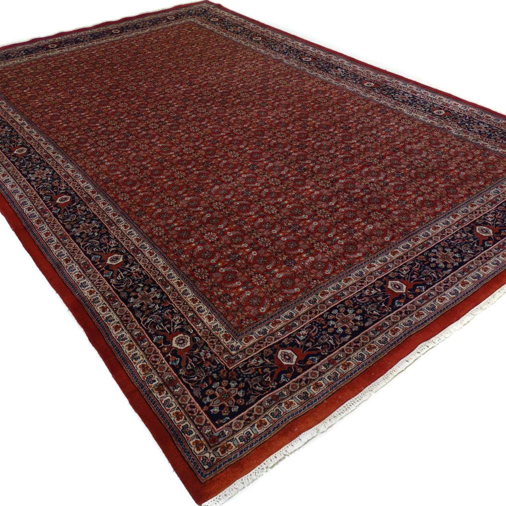 比贾尔 - 净化 - 小地毯 - 360 cm - 239 cm #3.2