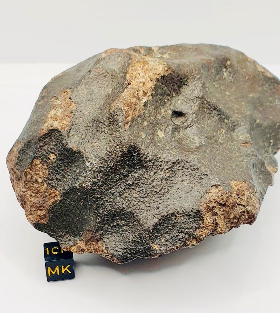 Oklassificerad NWA-meteorit Kontrit meteorit - Höjd: 130 mm - Bredd: 90 mm - 1000 g - (1) #2.1