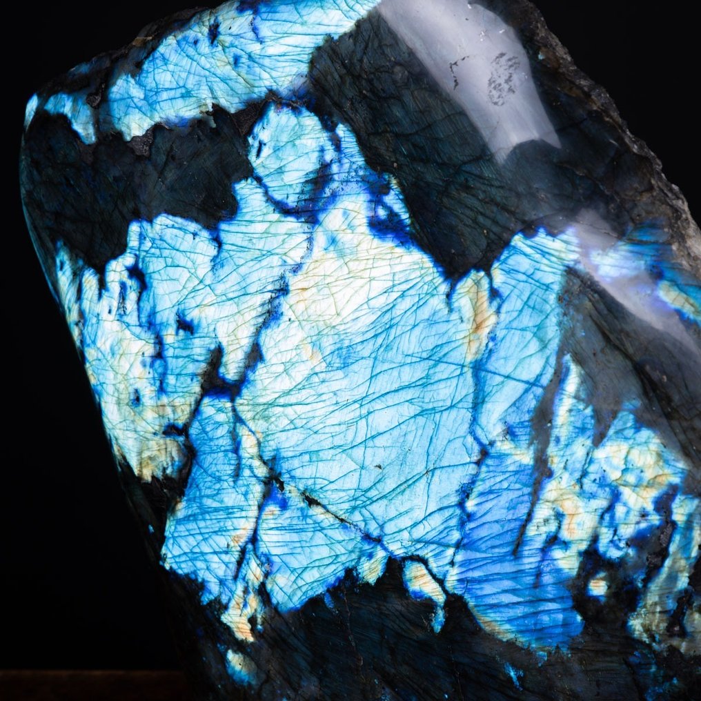 Golden Flash Top Quality Labradorite - Free Form - Gold Blue Light - - Height: 45 cm - Width: 49 cm- 40 kg #2.1