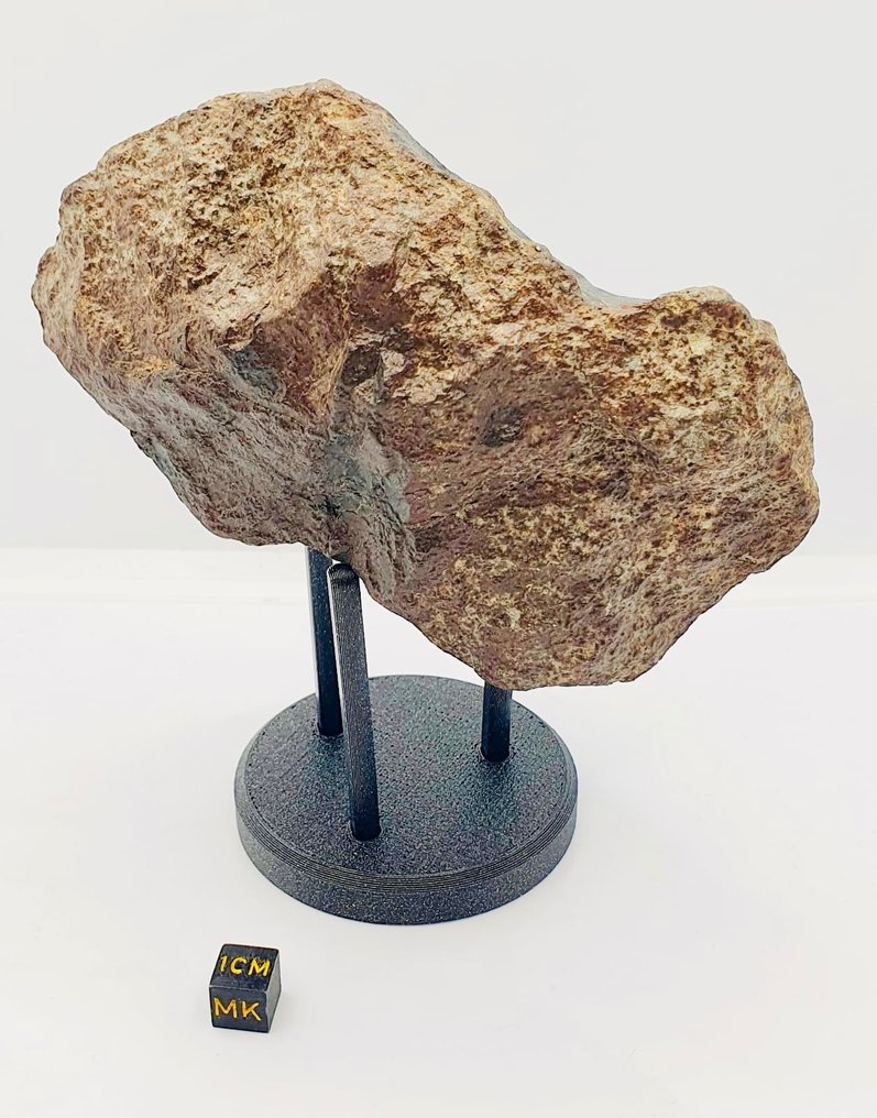 Niesklasyfikowany meteoryt NWA Chondryt - Wysokość: 130 mm - Szerokość: 90 mm - 1000 g - (1) #1.2