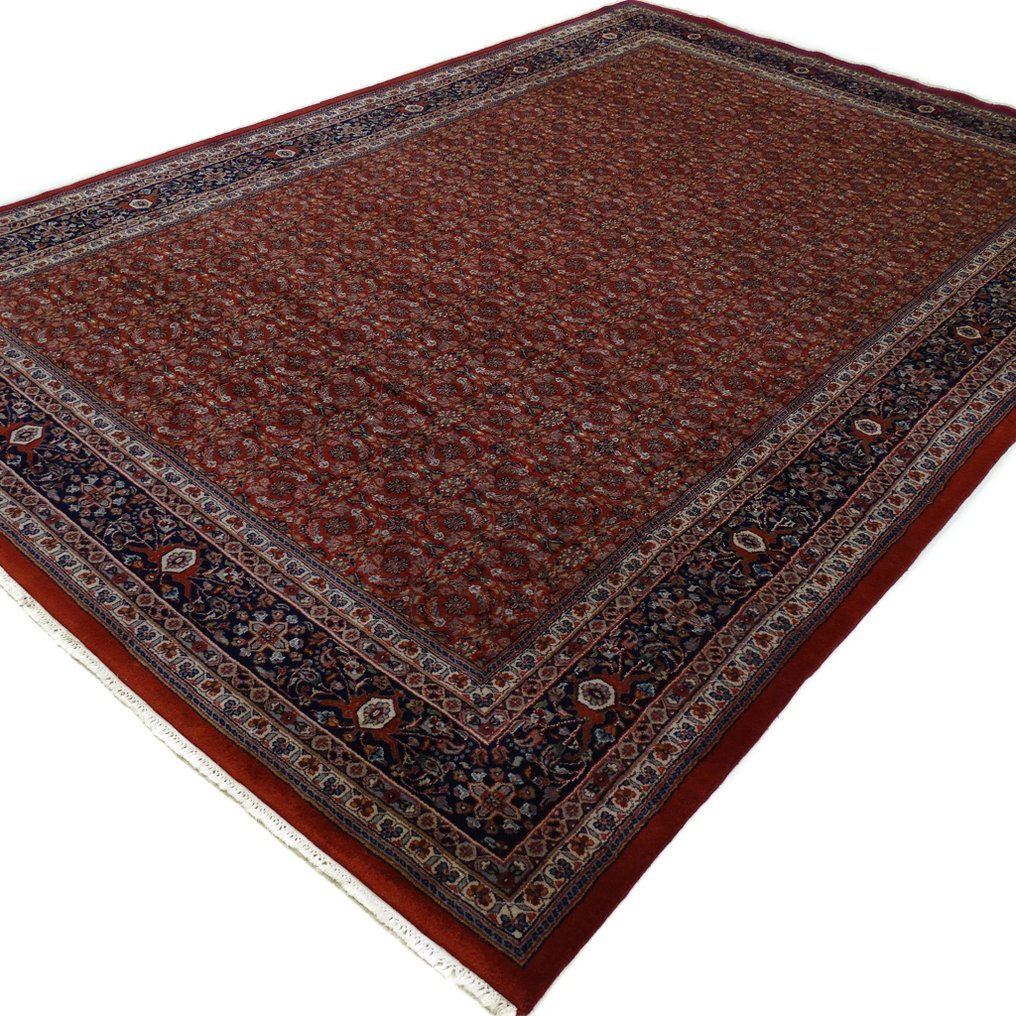 比賈爾 - 淨化 - 小地毯 - 360 cm - 239 cm #3.1
