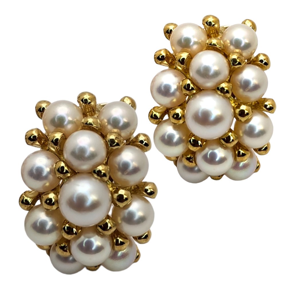 Earrings - 18 kt. Yellow gold Pearl #2.1