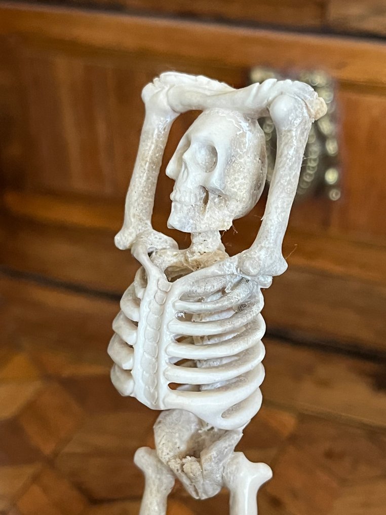 Sculpture, Memento Mori   Squelette dansant - 12 cm - Bone, Horn, Wood #2.1