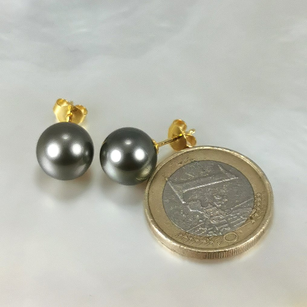 Tahitian cultured pearls earrings Ø 10,5 MM - Earrings - 18 kt. Yellow ...