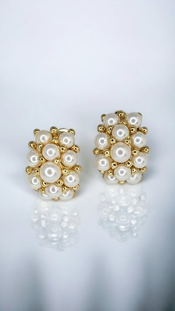 Earrings - 18 kt. Yellow gold Pearl  #1.1